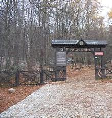Puszcza Jodłowa